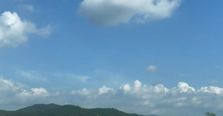 打造沈陽網站制作H5響應式網站，讓企業的業務無處不在！