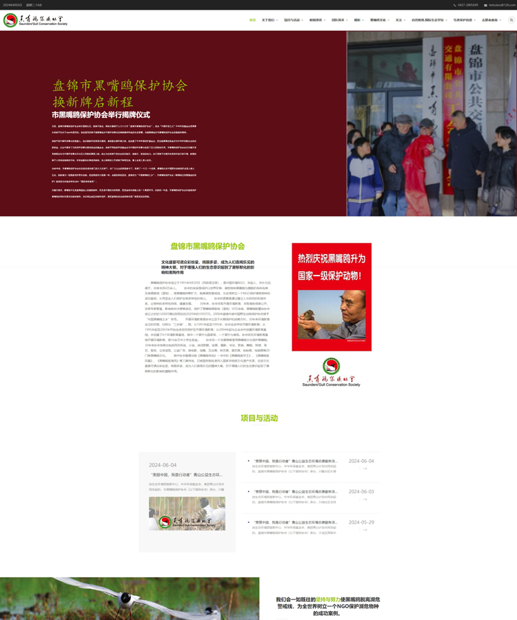 營銷定制型網(wǎng)站案例