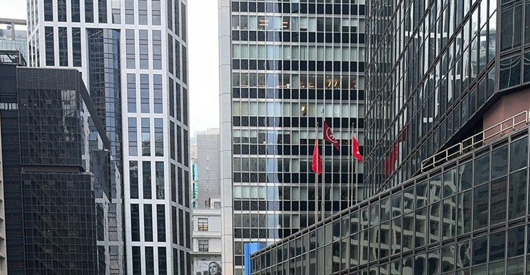 沈陽做網站公司淺談外貿行業割韭菜的這點事